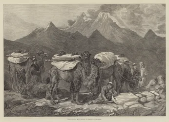 Vervoer van Goederen in Oost-Turkestan